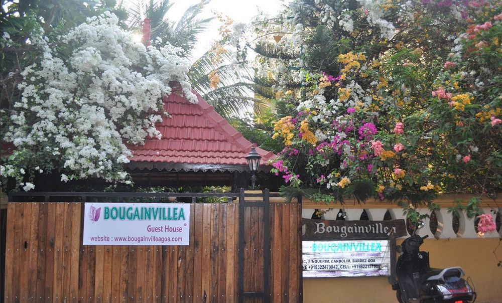 Bougainvillea Guest House Candolim Buitenkant foto